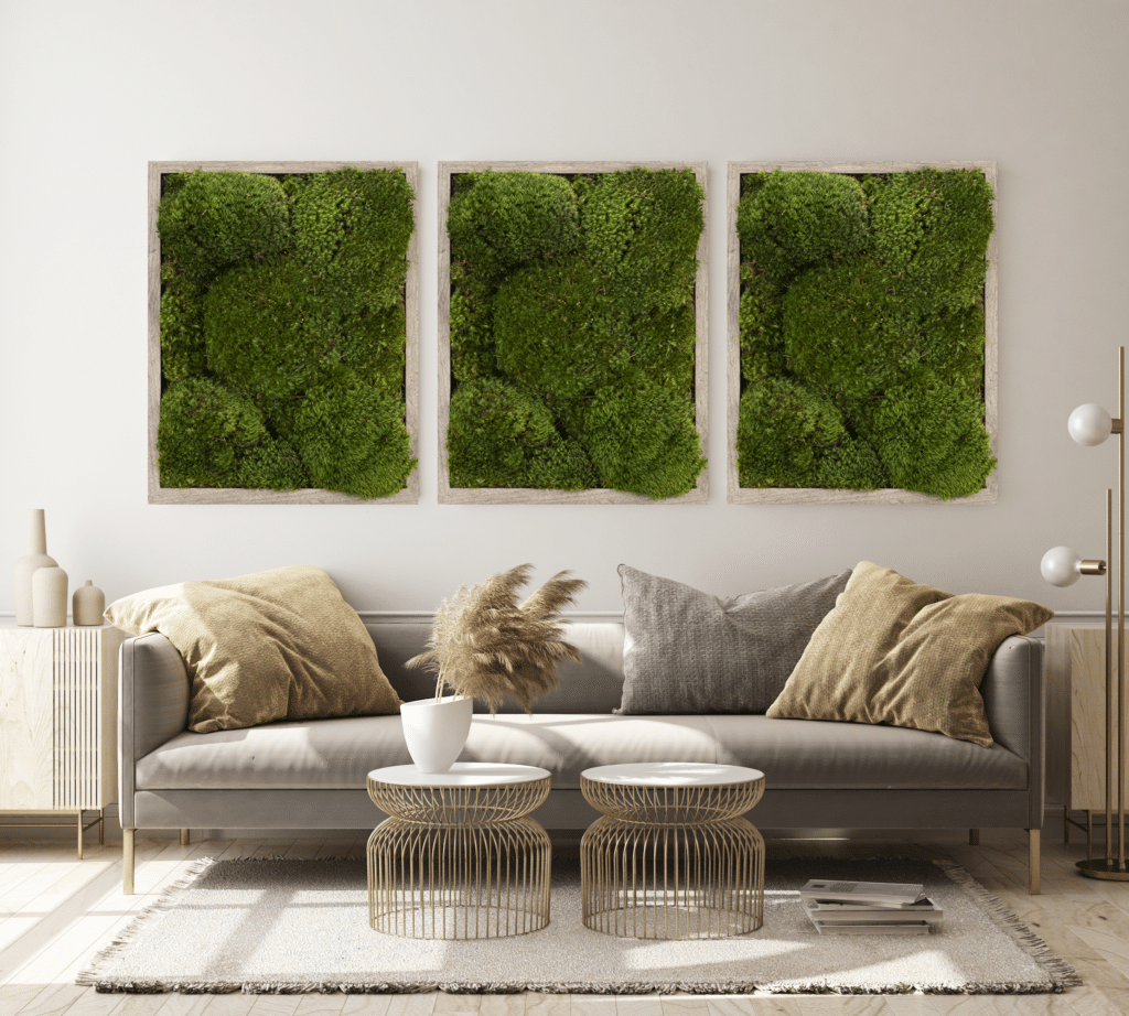 Moss Pure: Live Moss Walls and Decor For Your Space.